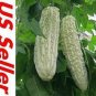 10 PCS Seeds White Ultra Rare Bitter Melon Bitter Gourd Beauty Winner