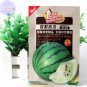 10 PCS Seeds White Watermelon Green Dark Green Skin White Inside Water Melon