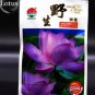 5 PCS Seeds Wild Red Purple Lotus Flower