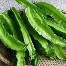 3 PCS Seeds Winged Bean Seeds, Original Pack Chinese Asparagus Pea Vegetables 3 PCS Seeds Winged Bean Seeds, Original Pack Chinese Asparagus Pea Vegetables