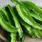 3 PCS Seeds Winged Bean Seeds, Original Pack Chinese Asparagus Pea Vegetables