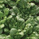 40 PCS Seeds Wuta-tsai Organic Vegetables 40 PCS Seeds Wuta-tsai Organic Vegetables