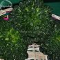 40 PCS Seeds Wuta-tsai Organic Vegetables