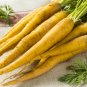 50 PCS Seeds Yellow Carrot Edible Carota Vegetables