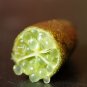 10 PCS Seeds Yellow Finger Lime Pomegrante Plant