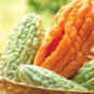 8 PCS Seeds Yellow Momordica Organic Seeds Smallest Bitter Melon