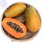 6 PCS Seeds Yellow Papaya Yellow Skin Organic Fruit