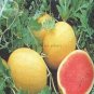 20 PCS Seeds Yellow-Black Skin Watermelon with red meat