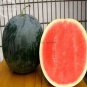 20 PCS Seeds Yellow-Black Skin Watermelon with red meat