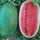 10 PCS Seeds Yield Super Green Oval Shape Red Watermelon 10 PCS Seeds Yield Super Green Oval Shape Red Watermelon
