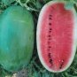 10 PCS Seeds Yield Super Green Oval Shape Red Watermelon