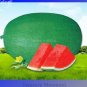 10 PCS Seeds Yield Super Green Oval Shape Red Watermelon