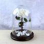 50 PCS Seeds Yunnan White Rose