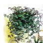100 PCS Seeds Zebrina pendula Schnizl Bonsai Garden Perennial Plants