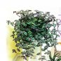 100 PCS Seeds Zebrina pendula Schnizl Bonsai Garden Perennial Plants