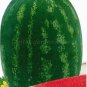 40 PCS Seeds Zhengzha No.5 Big Long Red Watermelon