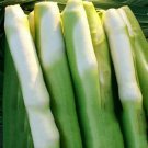 100 PCS Seeds Zizania Latifolia Aquatic vegetables Planting Seasons