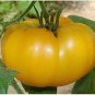 100 PCS Seeds Organic Yellow Beefsteak Heirloom Tomato Bonsai