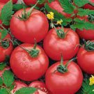 150 PCS Seeds American F1 Pink Long 'Banana' Tomato
