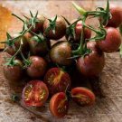 100 PCS Seeds Artisan Purple Bumblebee Cherry Tomato