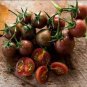 100 PCS Seeds Artisan Purple Bumblebee Cherry Tomato