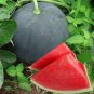 30 PCS Seeds Black Skin Long Red Watermelon