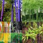 40 PCS Seeds Bonsai Purple Bamboo Bonsai Plants Rare Phyllostachys nigra Perennial Bambu
