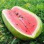 20 PCS Seeds Charleston Grey Giant Long Watermelon