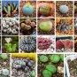 20 PCS Seeds Conophytum mix Succulents Garden Plants