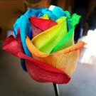 50 PCS Seeds Crazy Rainbow Rose seeds big blooms a must for home garden