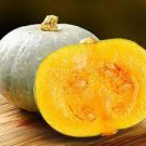10 PCS Seeds Crown Squash