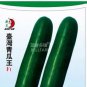 10 PCS Seeds Cucumber Dark Green few Barbed Slippy Vegetable