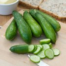 20 PCS Seeds Cucumber Mixed Mini Small Medium Large Vegetable 20 PCS Seeds Cucumber Mixed Mini Small Medium Large Vegetable