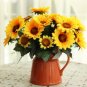 100 PCS Seeds Different Flower Plant Bonsai Seedss Indoor Potted Seedsplants Exotic Suculenta