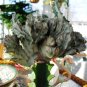 100 PCS Seeds Euphorbia Lactea Perennial Succulent Its Shape is Peculiar and Beautiful
