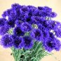 100 PCS Seeds Exotic Zinnia Pretty Pastel Flowering Plants Home Garden Potted