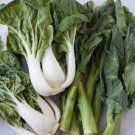 5 PCS Seeds Green Chinese Vegetables 5 PCS Seeds Green Chinese Vegetables