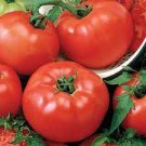100 PCS Seeds Heirloom Bright Red Strawberry-shaped Tomato