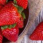 40 PCS Seeds Heirloom 'Jindi' Season Big Red Strawberry