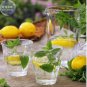 20 PCS Seeds Heirloom Lemon Balm
