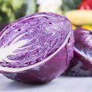30 PCS Seeds Heirloom Purple Cabbage Organic Vegetables 30 PCS Seeds Heirloom Purple Cabbage Organic Vegetables