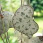 100 PCS Seeds Hoya Kerrii Bonsai Hybrid