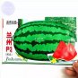 70 PCS Seeds Lanzhou P2 Big Green Watermelon