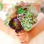 1000 PCS Seeds Lithops Seeds Mixed
