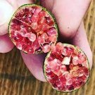 20 PCS Seeds Novel Finger Limes Citrus Pomegranate Bonsai 20 PCS Seeds Novel Finger Limes Citrus Pomegranate Bonsai