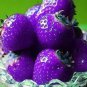 100 PCS Seeds Purple Strawberry easily grow in garden potting