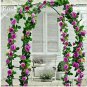 50 PCS Seeds Rare Dabai Mountain Purple Climbing Plants