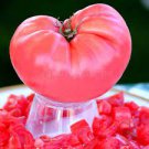 300 PCS Seeds Rare Heirloom 'Mao Fen 802' Pink Big Tomato Organic 300 PCS Seeds Rare Heirloom 'Mao Fen 802' Pink Big Tomato Organic