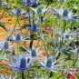 100 PCS Seeds Sea Holly Eryngium Alpinum