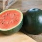 20 PCS Seeds Sugar Baby 'Tangig' Black Watermelon